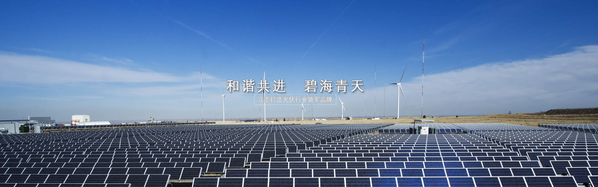 泗水縣和信石材有限公司