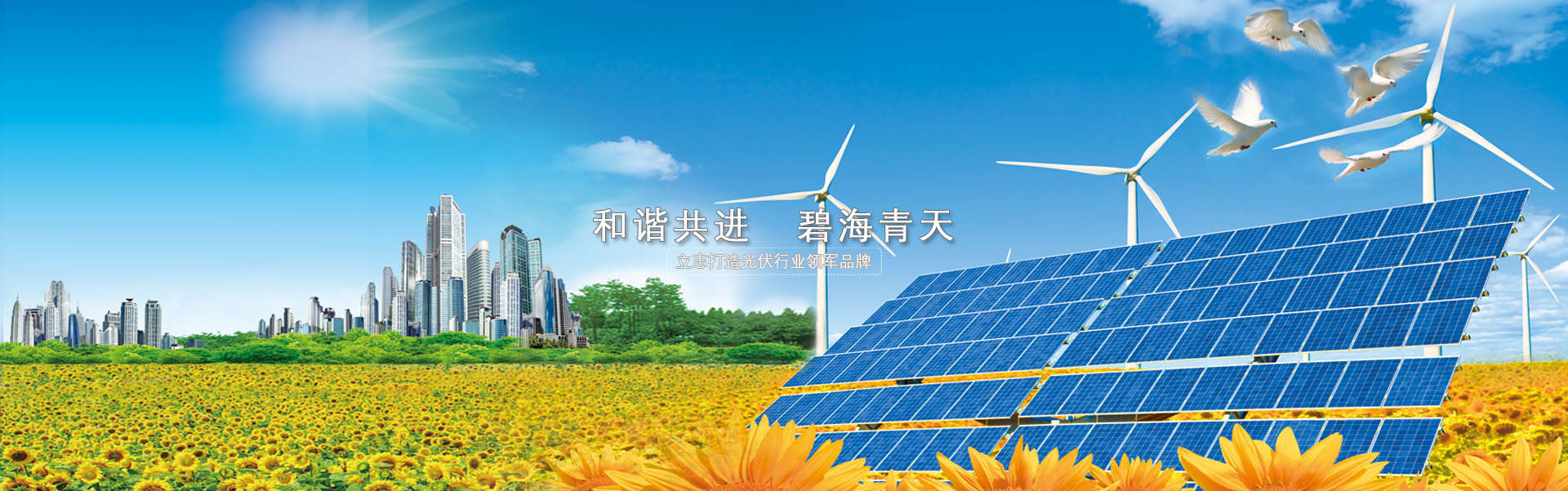 泗水縣和信石材有限公司